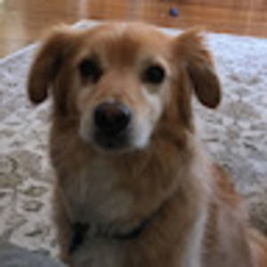 Meet your Posher, Nora